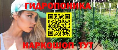 гашиш Новозыбков