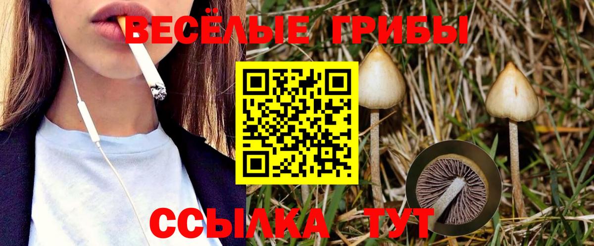 Галлюциногенные грибы GOLDEN TEACHER Ярцево