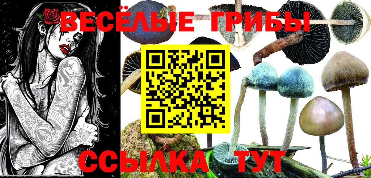 Псилоцибиновые грибы мицелий  Псилоцибиновые грибы Magic Shrooms  Вход с VPN  Ярцево 