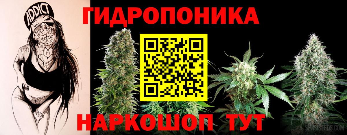 Каннабис планчик  Бошки марихуана OG Kush  Марихуана ГИДРОПОН  Ярцево  Вход с VPN 